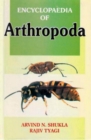 Encyclopaedia of Arthropoda (Physiology of Arthropods) - eBook