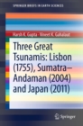 Three Great Tsunamis: Lisbon (1755), Sumatra-Andaman (2004) and Japan (2011) - eBook