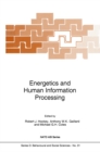 Energetics and Human Information Processing - eBook