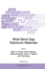 Wide Band Gap Electronic Materials - eBook