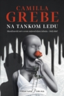 Na tankom ledu - eBook