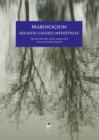 Mabinogion. Relatos galeses medievales - eBook