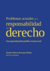 Problemas actuales de la responsabilidad en derecho : Una aproximacion juridica transversal - eBook