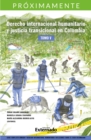 Derecho internacional humanitario tomo V : Serie Conflicto armado y derecho internacional humanitario - eBook