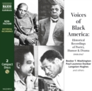 Voices of Black America - eAudiobook
