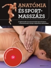 Anatomia es sportmasszazs : A legfontosabb masszazstechnikak lepesrol lepesre - a faszciamasszazs szerepe a teljesitmeny fokozasaban - eBook