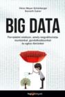 Big data : Forradalmi modszer, amely megvaltoztatja munkankat, gondolkodasunkat es egesz eletunket - eBook