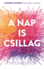A Nap is csillag - eBook
