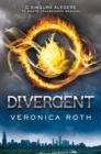 Divergent - Vol. I - eBook