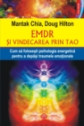 EMDR si vindecarea prin Tao : cum sa folosesti psihologia energetica pentru a depasi traumele emotionale - eBook