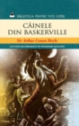 Cainele din Baskerville - eBook