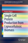 Single Cell Protein Production from Lignocellulosic Biomass - eBook