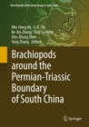 Brachiopods around the Permian-Triassic Boundary of South China - eBook