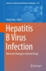 Hepatitis B Virus Infection : Molecular Virology to Antiviral Drugs - eBook