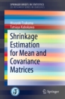 Shrinkage Estimation for Mean and Covariance Matrices - eBook