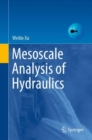 Mesoscale Analysis of Hydraulics - eBook
