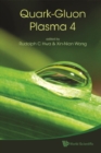 Quark-gluon Plasma 4 - eBook
