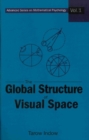 Global Structure Of Visual Space, The - eBook