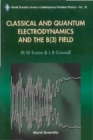 Classical And Quantum Electrodynamics And The B(3) Field - eBook