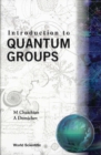 Introduction To Quantum Groups - eBook