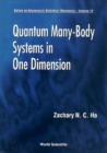 Quantum Many-body Systems In One Dimension - eBook
