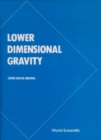 Lower Dimensional Gravity - eBook