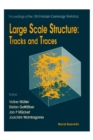 Large Scale Structure: Tracks And Traces - Proceedings Of 12th Potsdam Cosmology Workshop - eBook