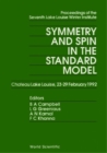 Symmetry And Spin In Standard Model - Proceedings Of The Seventh Lake Louise Winter Institute - eBook