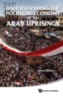 Understanding The Political Economy Of The Arab Uprisings - eBook