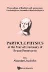 Particle Physics At The Year Of Centenary Of Bruno Pontecorvo - Proceedings Of The Sixteenth Lomonosov Conference On Elementary Particle Physics - eBook