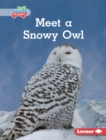 Meet a Snowy Owl - eBook