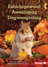 Ezhichigewaad Awesiinyag Dagwaagininig (What Animals Do in Fall) - eBook