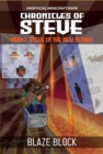 Chronicles of Steve Book 1 : Steve in the New Nether - eBook