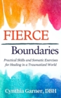 Fierce Boundaries : Practical Skills and Somatic Exercises for Healing in a Traumatized World - eBook