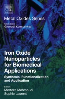 Iron Oxide Nanoparticles for Biomedical Applications : Synthesis, Functionalization and Application