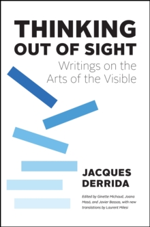 Thinking Out of Sight : Writings on the Arts of the Visible