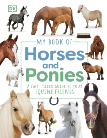 My Book of Horses and Ponies : A Fact-Filled Guide to Your Equine Friends