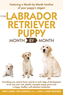 Your Labrador Retriever Puppy Month By Month : Everything You Need to Know at Each Stage of Development