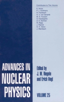 Advances in Nuclear Physics : Volume 25