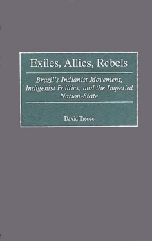 Exiles, Allies, Rebels : Brazil's Indianist Movement, Indigenist Politics, and the Imperial Nation-State