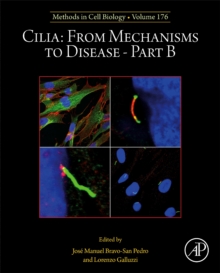 Cilia: From Mechanisms to Disease-Part B : Volume 176