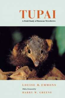Tupai : A Field Study of Bornean Treeshrews