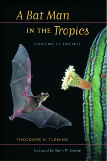 A Bat Man in the Tropics : Chasing El Duende