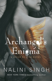 Archangel's Enigma : Book 8