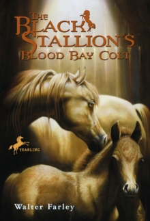 The Black Stallion's Blood Bay Colt : (Reissue)
