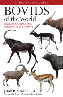 Bovids of the World : Antelopes, Gazelles, Cattle, Goats, Sheep, and Relatives