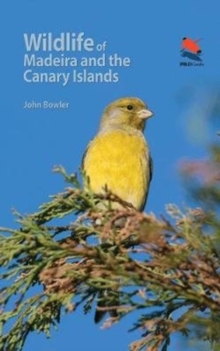 Wildlife of Madeira and the Canary Islands : A Photographic Field Guide to Birds, Mammals, Reptiles, Amphibians, Butterflies and Dragonflies