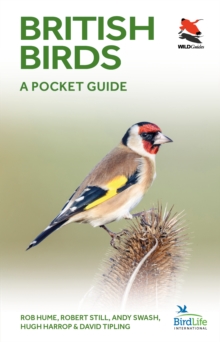 British Birds : A Pocket Guide