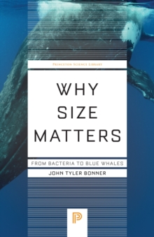 Why Size Matters : From Bacteria to Blue Whales
