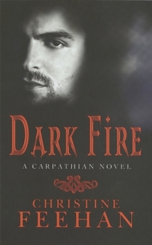 Dark Fire : Number 6 in series
